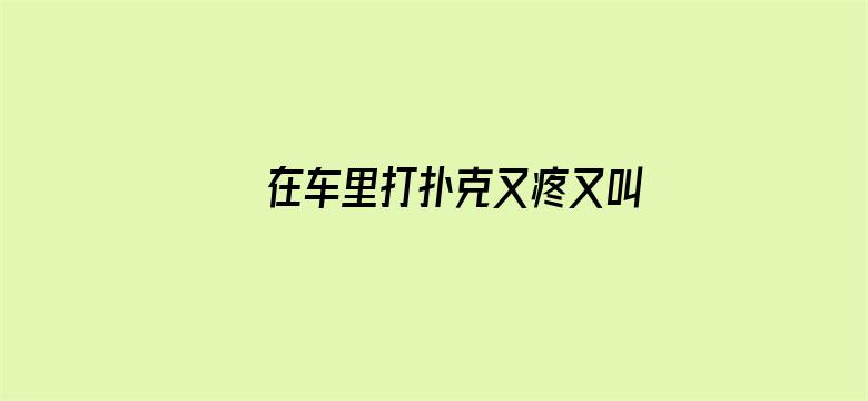 在车里打扑克又疼又叫电影封面图